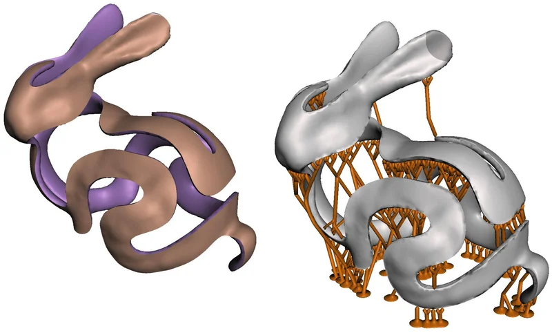 Bunny Peel model with branching supports
