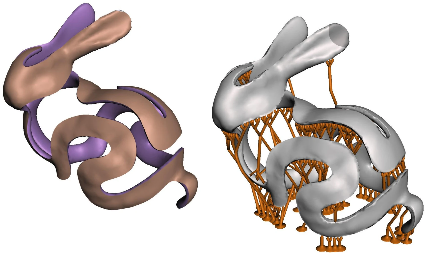 Bunny Peel model with branching supports