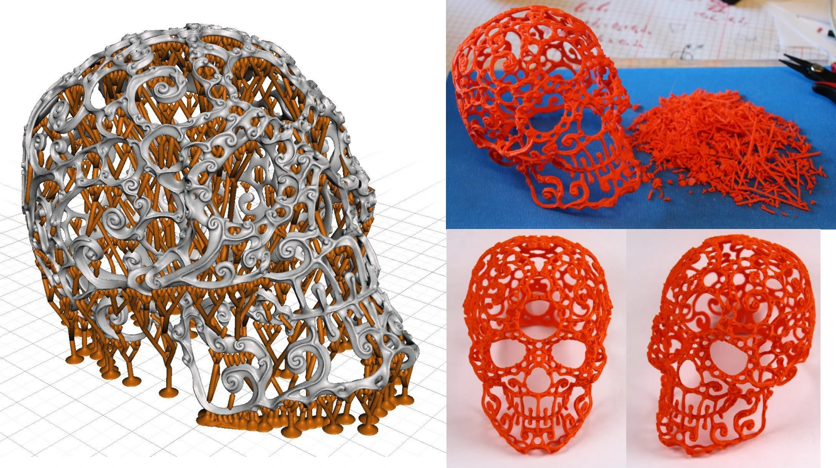 Skull model with branching supports
