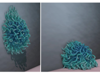 Position-Based Elastic Rods