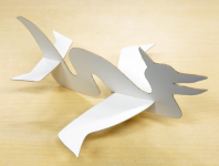 Pteromys: Interactive Design and Optimization of Free-formed Free-flight Model Airplanes